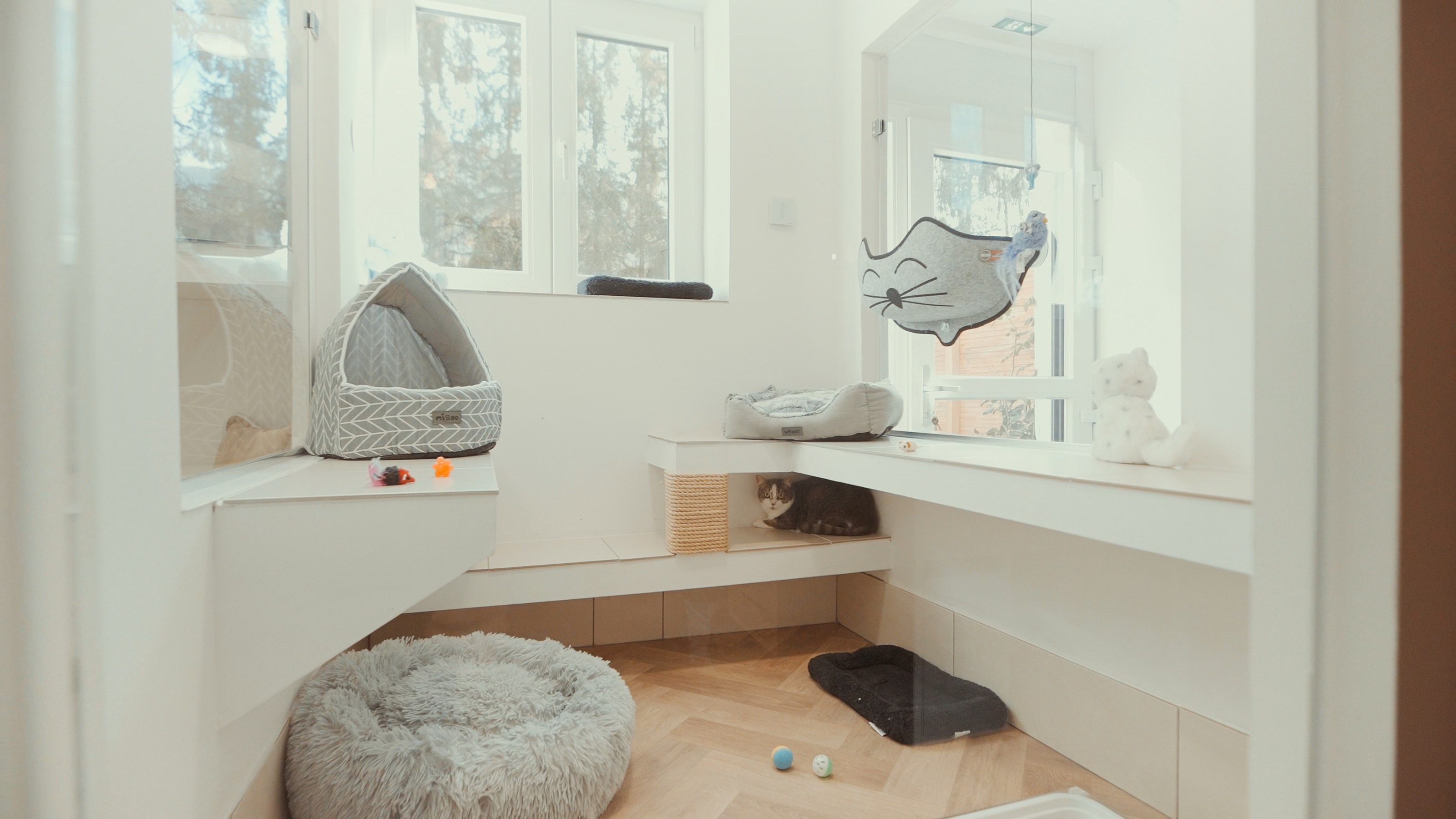 <p class="h2 noir noAnim"><span class="sousTitre">suite individuelle</span>double/triple</p><div class="txtHover "><div class="content">Location d'un espace pour un, deux ou trois chats d'une même famille : chat-lheureux et aménagé en 3 dimensions. Cet hébergement privatisé, all inclusive ou sur-mesure, vous permet d'apporter coussin, doudous préférés … ou encore leur alimentation.</div></div> -image