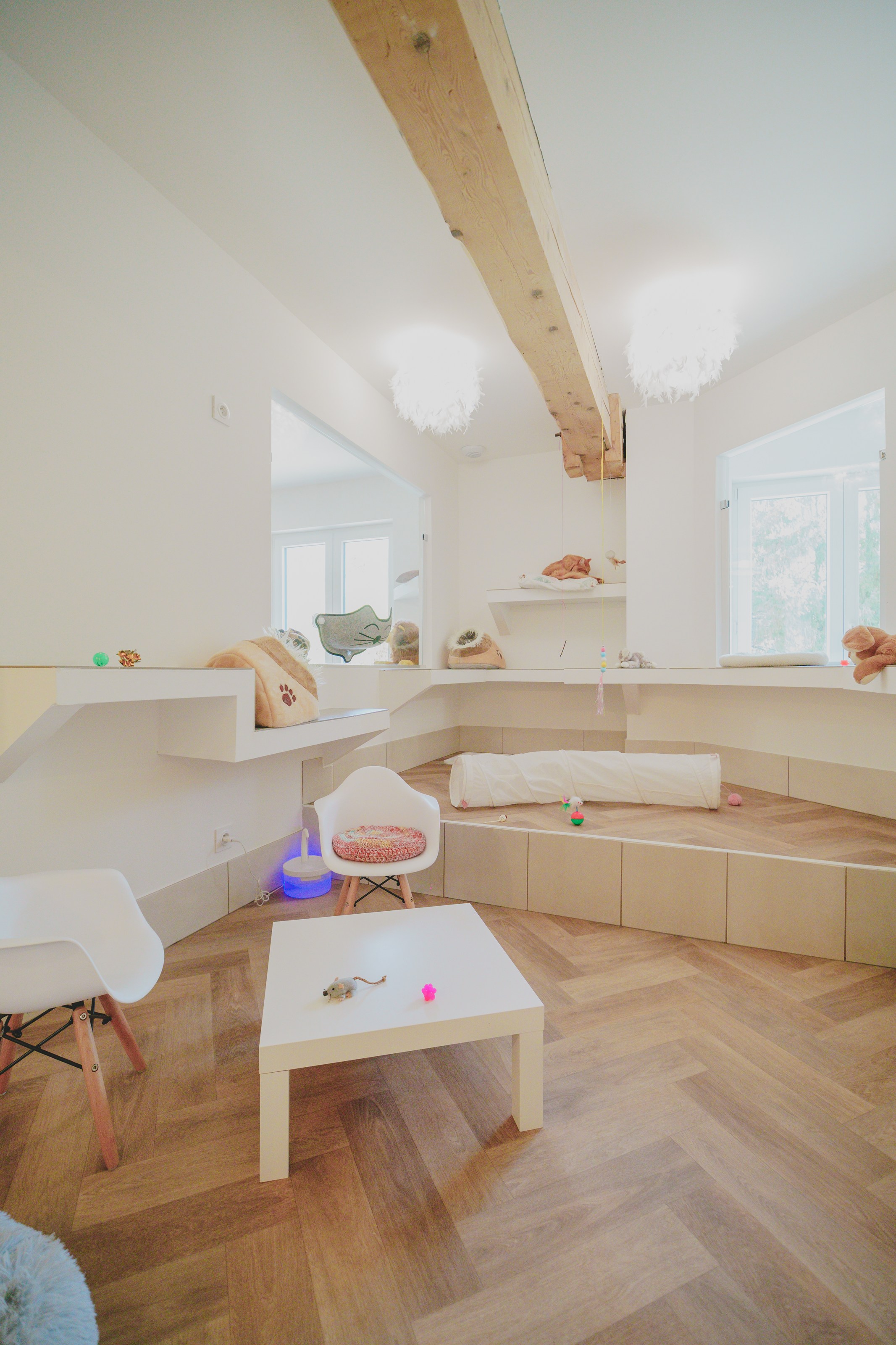 <p class="h2 noir noAnim"><span class="sousTitre">Chambre</span>collective</p><div class="txtHover "><div class="content">Un espace prévu en petit collectif de 4 à 7 chats. Parcours d'étagères, cachettes, griffoirs, coussins, doudous, jouets … tout est prévu pour leur confort et leur bien-être. Cet hébergement est All inclusive : buffet croquettes à volonté, litière …</div></div> -image