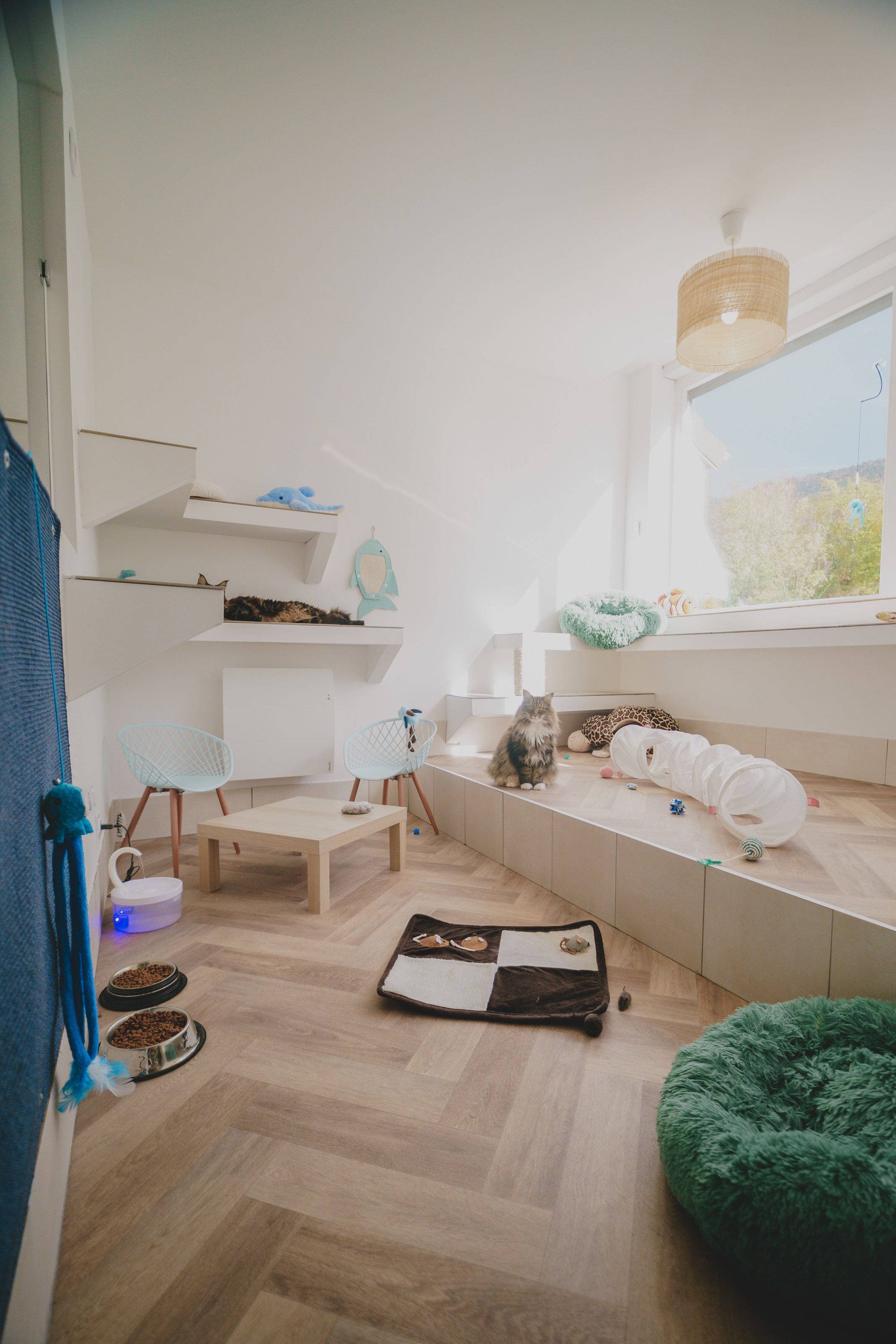 <p class="h2 noir noAnim"><span class="sousTitre">chambre</span>collective privatisée</p><div class="txtHover "><div class="content">Privatisation d'une chambre collective : chat-lheureuse et aménagée en 3 dimensions. Cet hébergement all inclusive ou sur-mesure, vous permet d'apporter coussin, doudous préférés … ou encore leur alimentation.</div></div> -image