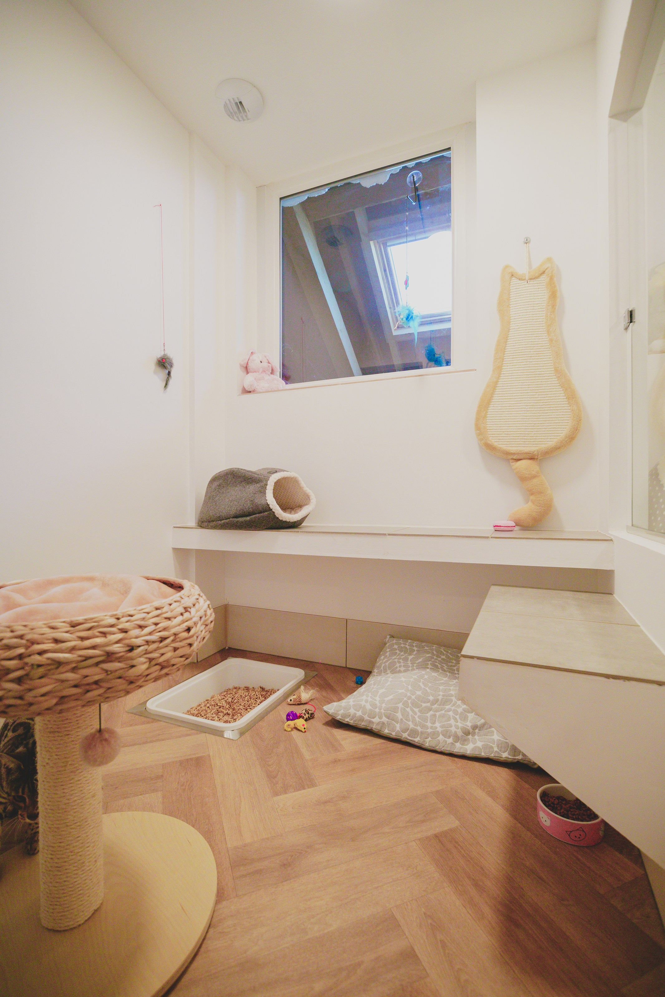 <p class="h2 noir noAnim"><span class="sousTitre">suite individuelle</span>simple</p><div class="txtHover "><div class="content">Location d'un espace pour un chat : chat-lheureux et aménagé en 3 dimensions. Cet hébergement privatisé, all inclusive ou sur-mesure, vous permet d'apporter coussin, doudous préférés … ou encore son alimentation.</div></div> -image