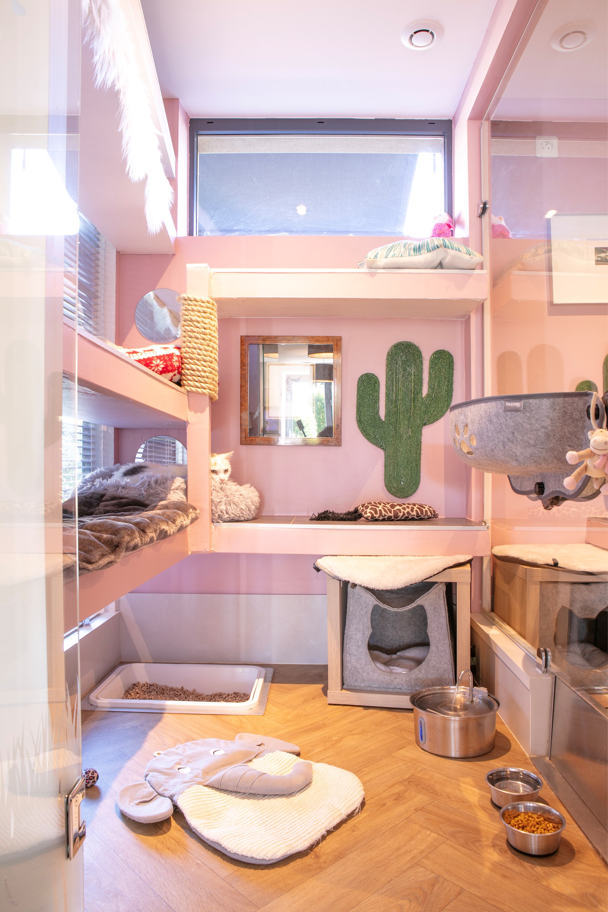 <p class="h2 noir noAnim"><span class="sousTitre">suite individuelle</span>double</p><div class="txtHover "><div class="content">Location d'un espace pour un ou deux chats d'une même famille : chat-lheureux et aménagé en 3 dimensions. Cet hébergement privatisé, all inclusive ou sur-mesure, vous permet d'apporter coussin, doudous préférés … ou encore leur alimentation.</div></div> -image