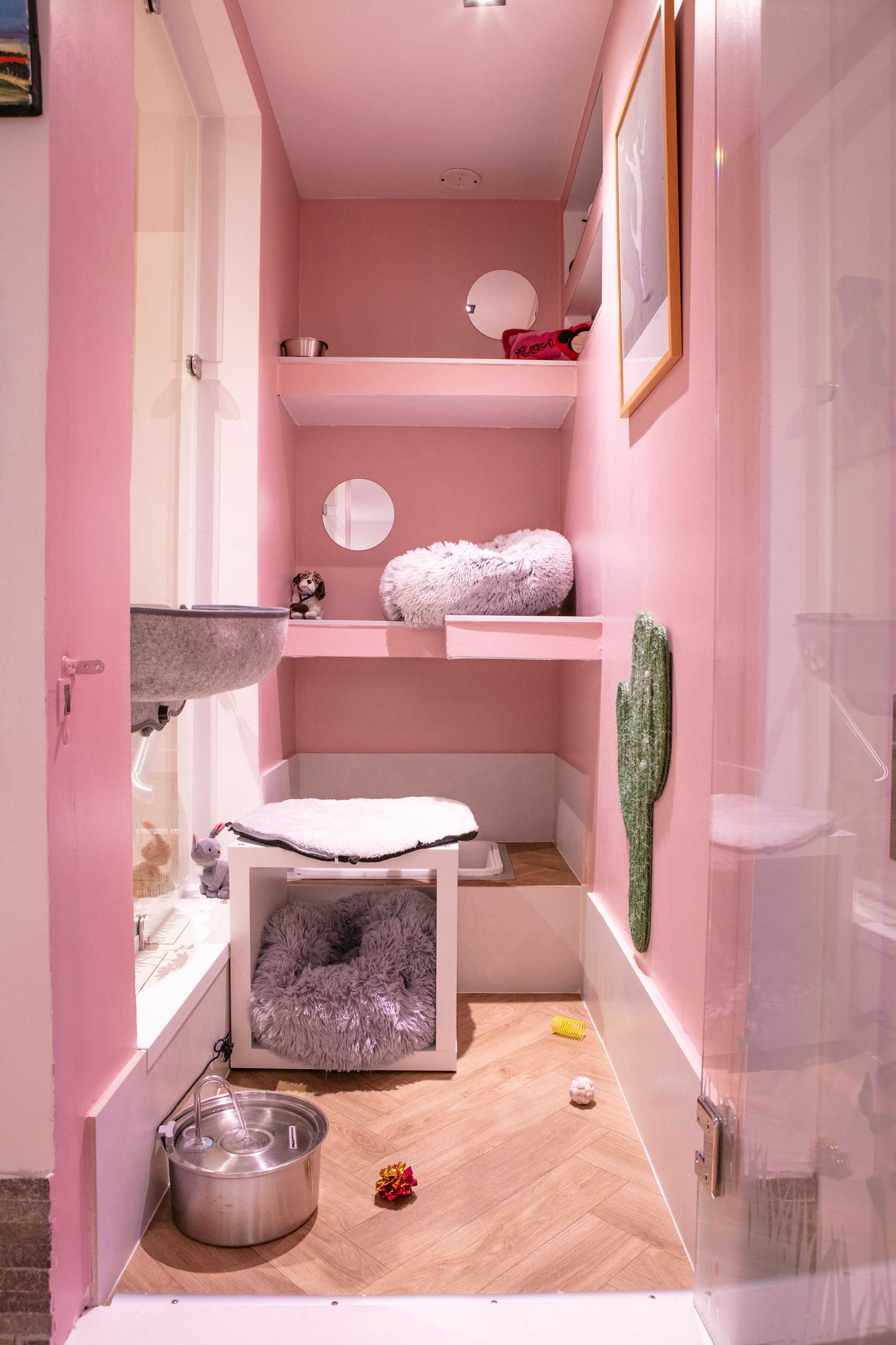 <p class="h2 noir noAnim"><span class="sousTitre">suite individuelle</span>simple</p><div class="txtHover "><div class="content">Location d'un espace pour un chat : chat-lheureux et aménagé en 3 dimensions. Cet hébergement privatisé, all inclusive ou sur-mesure, vous permet d'apporter coussin, doudous préférés … ou encore son alimentation.</div></div> -image