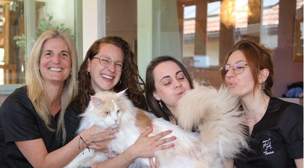 &lt;h2 style=&quot;text-align: center;&quot;>✨Fêtez le Nouvel An&lt;br>en toute sérénité ✨&lt;/h2>