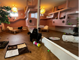 CP - Portes Ouvertes Beaumont