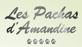 CP - 10ans les pachas d'Amandine à Vilaz